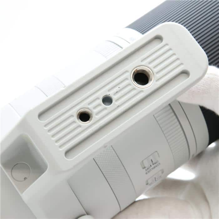 RF200-800mm F6.3-9 IS USM