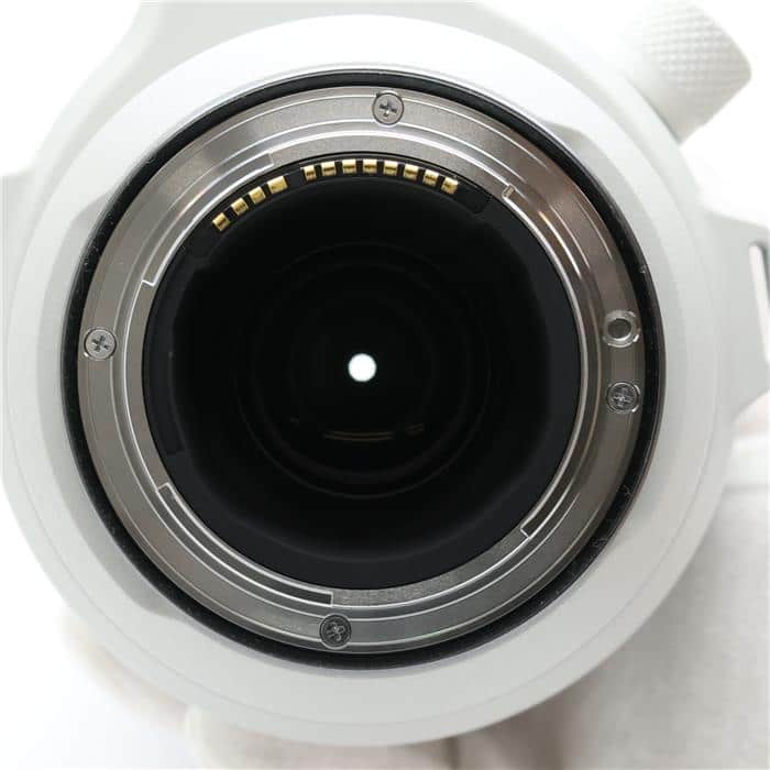 RF200-800mm F6.3-9 IS USM