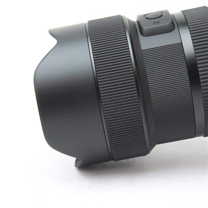 Art 14-24mm F2.8 DG DN (ライカSL/TL用)