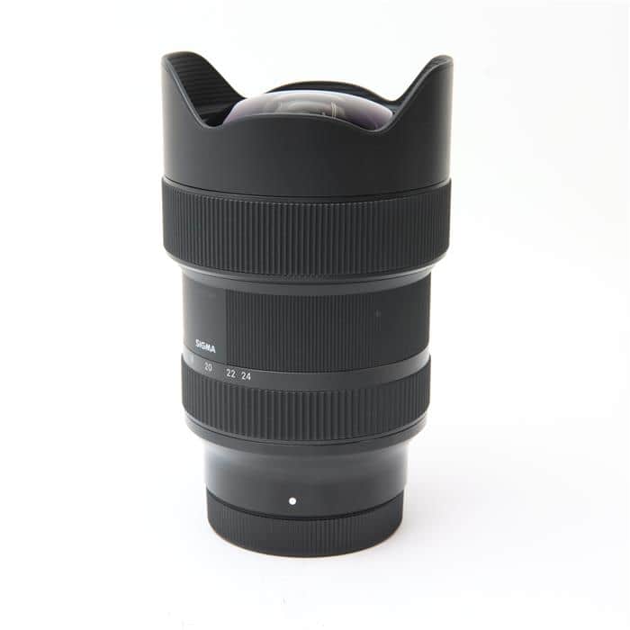 Art 14-24mm F2.8 DG DN (ライカSL/TL用)