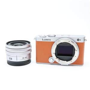 Panasonic (パナソニック) LUMIX S9 広角ズームレンズキット DC