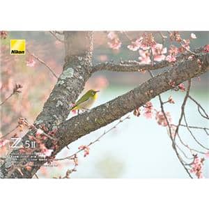 Nikon (ニコン) Z5II 24-200 レンズキット