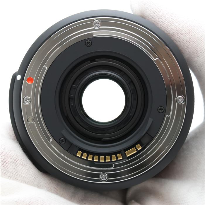 Contemporary 18-300mm F3.5-6.3 DC MACRO OS HSM (キヤノンEF用)