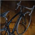 CARRERA  (カレラ) 【未使用品】2024モデル PHIBRA NEXT 105 R7000 11S Sサイズ（166-175cm）ロードバイク