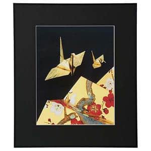 Kenko (ケンコー) アルミ額縁 画廊 半切 アクリル入り AGR-H-BK-AC ブラック メイン