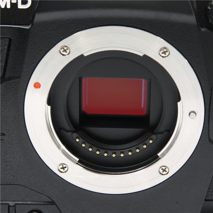 OM-D E-M1X ボディ
