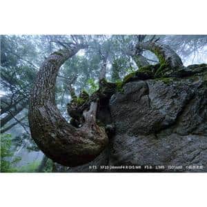 FUJIFILM (フジフイルム) X-T5 XF16-50mmレンズキット ブラック