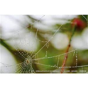 FUJIFILM (フジフイルム) X-T5 XF16-50mmレンズキット ブラック