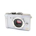 Panasonic (パナソニック) DMC-GF1 ブレードシルバー