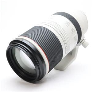 Canon (キヤノン) RF100-500mm F4.5-7.1 L IS USM メイン