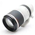 RF100-500mm F4.5-7.1 L IS USM