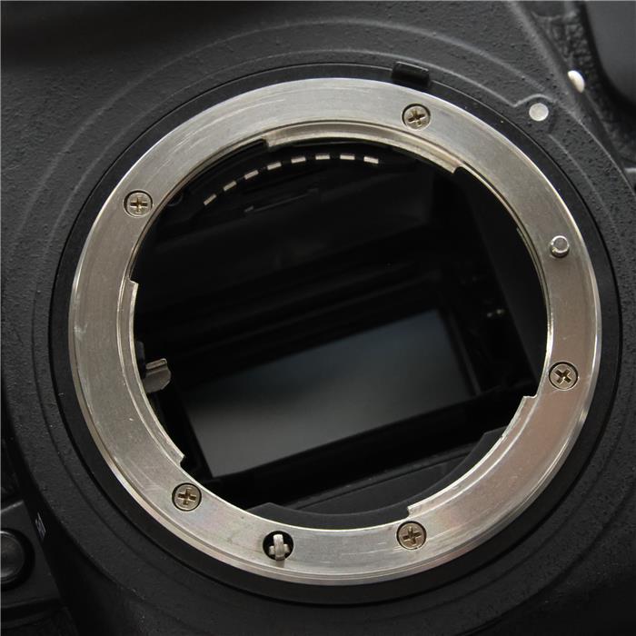 D5 ボディ(XQD-Type)