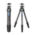 Leofoto（レオフォト） カーボン4段三脚 LS-284C+LH-30PCL 自由雲台セット Ranger Series