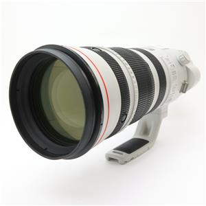 Canon (キヤノン) EF200-400mm F4L IS USM エクステンダー 1.4×」の