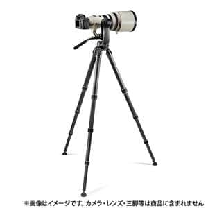 GITZO (ジッツオ) フルードジンバル雲台 GHFG1