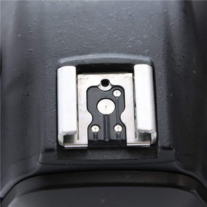 D5 ボディ(CF-Type)