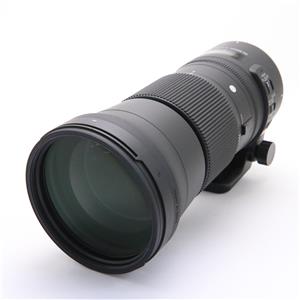 Sigma シグマ S 150 600mm F5 6 3 Dg Os ニコン用 の商品検索結果 デジタルカメラ ミラーレスカメラ 交換レンズの総合サイト マップカメラ