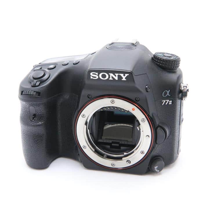 SONY α65 レンズ 3本 バッテリー 2本 リモートコマンダー セット