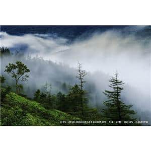 FUJIFILM (フジフイルム) X-T5 ボディ シルバー