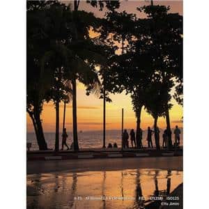 FUJIFILM (フジフイルム) X-T5 ボディ シルバー