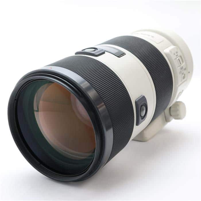 70-200mm F2.8 G SSM SAL70200G (ソニーA用)