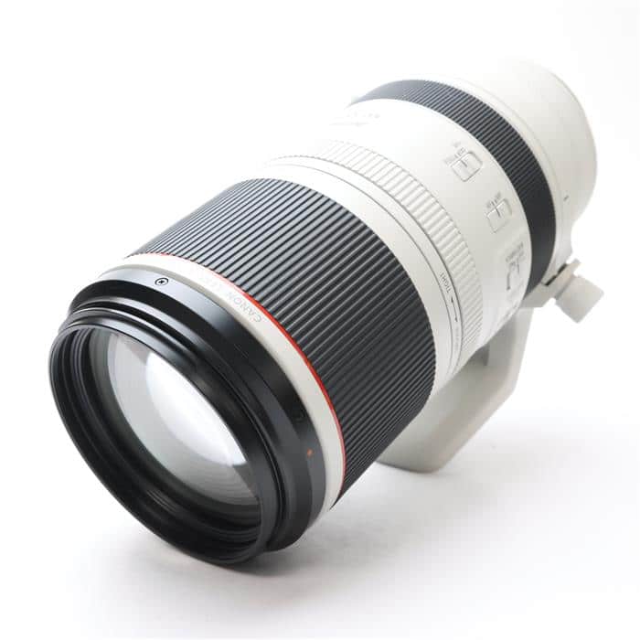 RF100-500mm F4.5-7.1 L IS USM