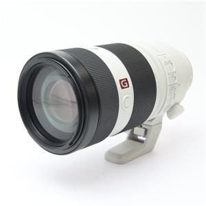 SONY (ソニー) FE 100-400mm F4.5-5.6 GM OSS SEL100400GM メイン
