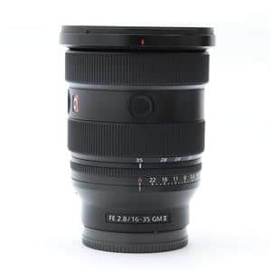 SONY (ソニー) FE 16-35mm F2.8 GM SEL1635GM」の商品検索結果