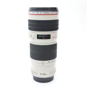 D28】Canon キヤノン EF 300mm F4 L USM 望遠レンズ 【公式通販】