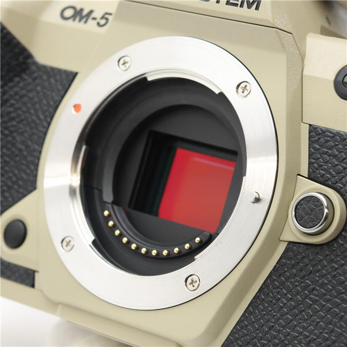 OM-5 Mark II ボディ