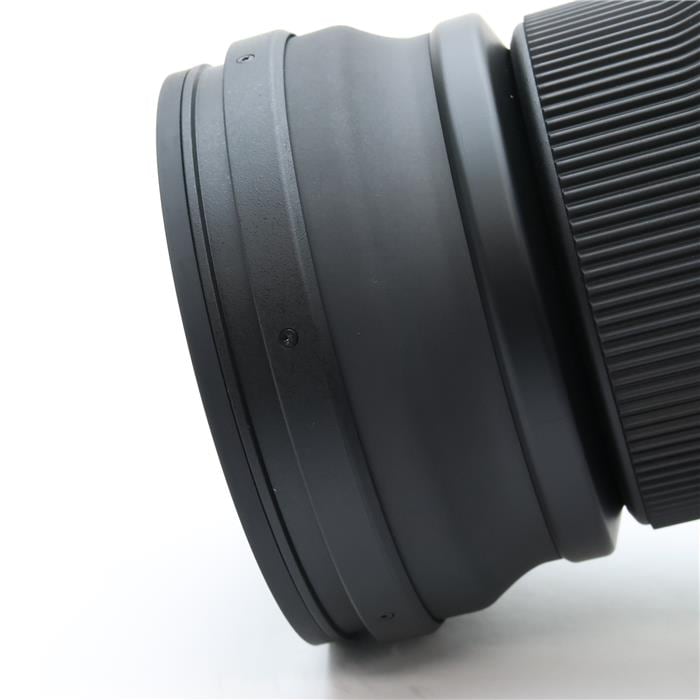 Sports 150-600mm F5-6.3 DG DN OS (ライカSL/TL用)