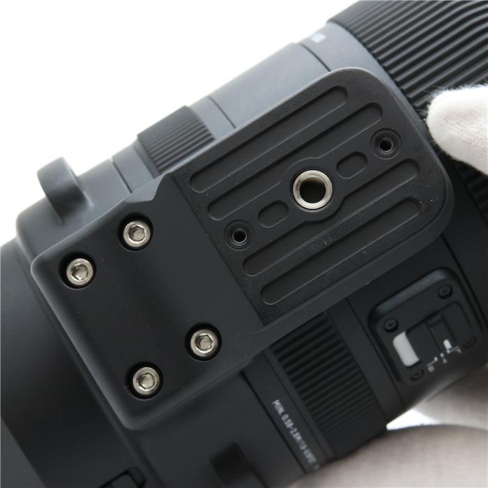 Sports 150-600mm F5-6.3 DG DN OS (ライカSL/TL用)