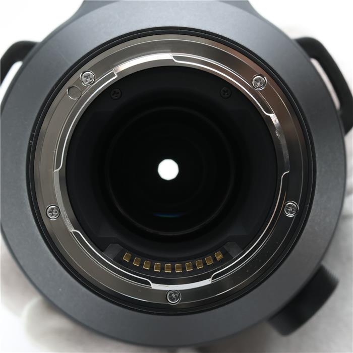 Sports 150-600mm F5-6.3 DG DN OS (ライカSL/TL用)