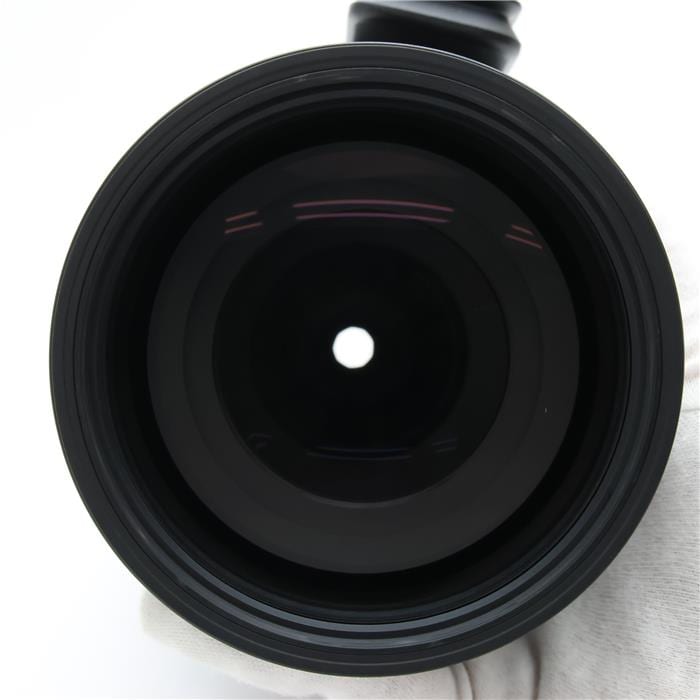 Sports 150-600mm F5-6.3 DG DN OS (ライカSL/TL用)