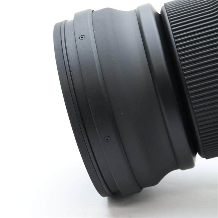 Sports 150-600mm F5-6.3 DG DN OS (ライカSL/TL用)