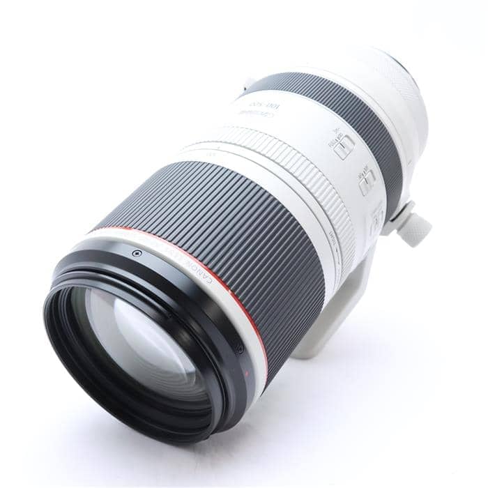 RF100-500mm F4.5-7.1 L IS USM