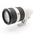 SONY (ソニー) FE 100-400mm F4.5-5.6 GM OSS SEL100400GM