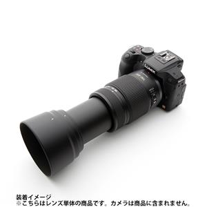 Panasonic (パナソニック) LUMIX G VARIO 100-300mm F4.0-5.6 MEGA O.I.S. H-FS100300