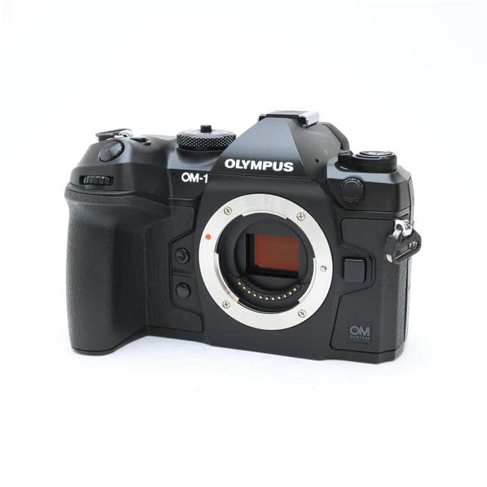 完動品】☆フラッシュOK☆オリンパス PEN-EF フィルムカメラ M13