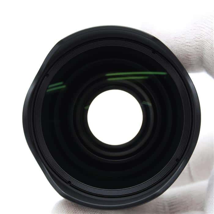 FE ウルトラワイドコンバーター SEL075UWC