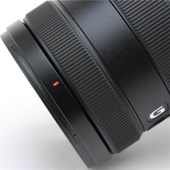 E 16-55mm F2.8 G SEL1655G