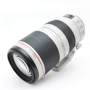 Canon (キヤノン) EF100-400mm F4.5-5.6L IS II USM メイン