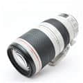 EF100-400mm F4.5-5.6L IS II USM