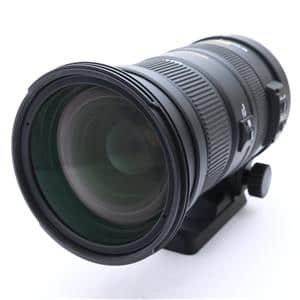 SIGMA (シグマ) APO 50-500mm F4.5-6.3 DG OS HSM (キヤノンEF用) メイン