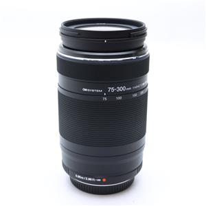 OM SYSTEM ED75-300mm F4.8-6.7Ⅱズームレンズ お写ん歩: OM SYSTEM M.ZUIKO DIGITAL ED 75-300mm F4.8-6.7 IIアーカイブ