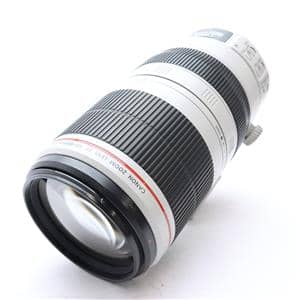 Canon (キヤノン) EF100-400mm F4.5-5.6L IS II USM メイン