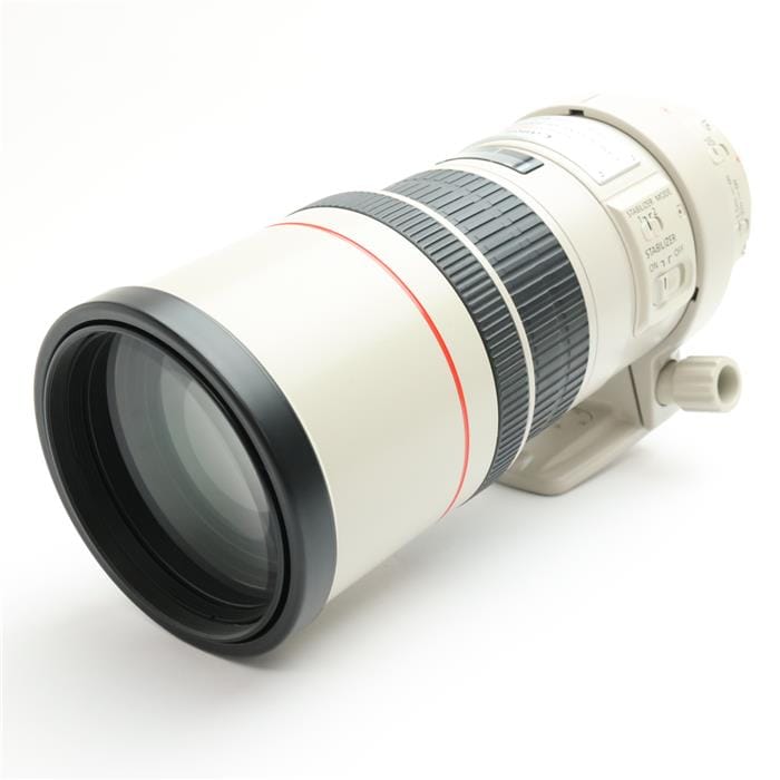 EF300mm F4L IS USM