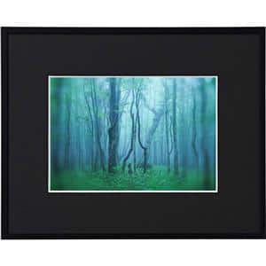 Kenko (ケンコー) アルミ額縁 ギャラリー 2L アクリル入り AGY-2L-BK ブラック メイン