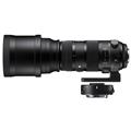 SIGMA (シグマ) Sports 150-600mm F5-6.3 DG 1.4xテレコンバーターキット(ニコンF用)