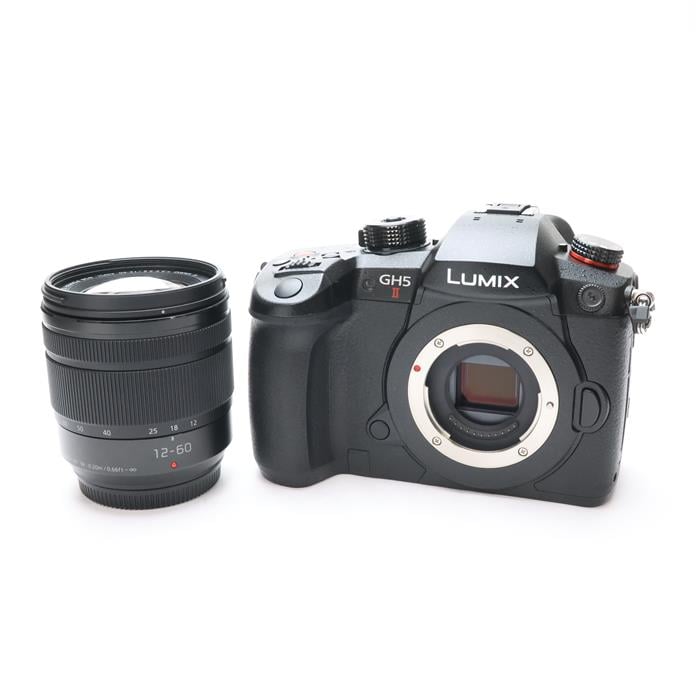 LUMIX GH5II 標準ズームレンズキット DC-GH5M2M